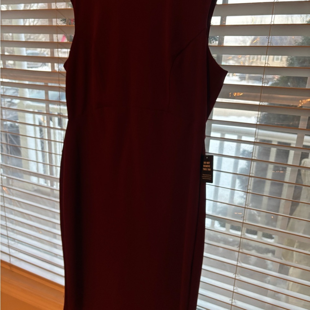 NWT. Express burgundy Dress